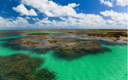 Piscinas naturais de Tamandaré