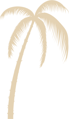 Image background parallax